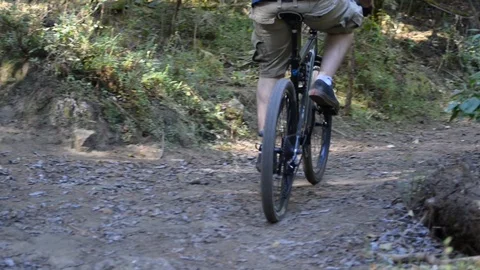 Forest MTB 库存影片 85924504