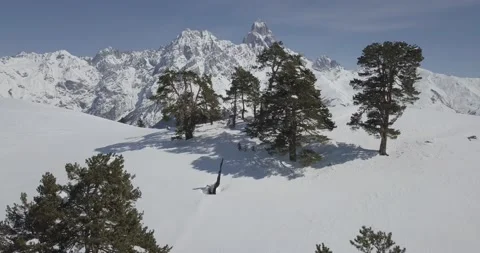 From forest to Mt.Ushba 库存影片 152854685