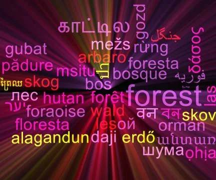Forest multilanguage wordcloud background concept glowing Stock Illustration