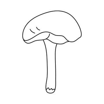 Forest mushroom in doodle style. Stock Illustration