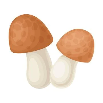 Forest Mushroom or Toadstool with Stem and Cap Isolated on White Background イラスト素材