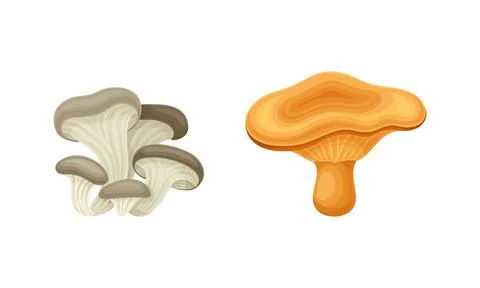 Forest Mushroom or Toadstool with Stem and Cap Isolated on White Background Illustrazione stock