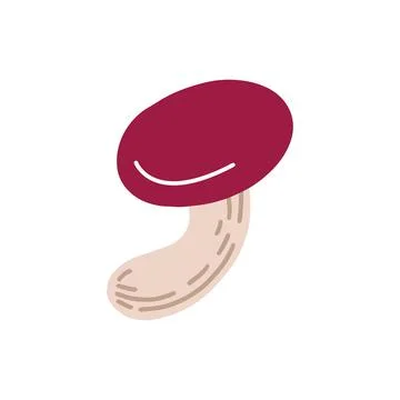 Forest mushroom. Vector illustration Stock Illustration