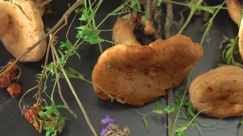 Forest mushrooms, dried grass and leaves and bunches of mountain ash. Vídeos de archivo 138993763
