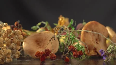 Forest mushrooms, dried grass and leaves and bunches of mountain ash. Video stock 138994166