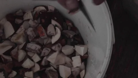 Forest mushrooms 스톡 동영상 70097744