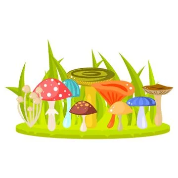 Forest mushrooms on grass lawn vector illustration Stockillustratie