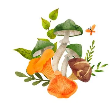 Forest Mushrooms, hand drawn vector watercolor illustration Stock Illustration