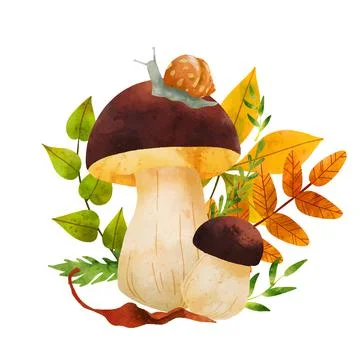 Forest Mushrooms, hand drawn vector watercolor illustration Stock Illustration