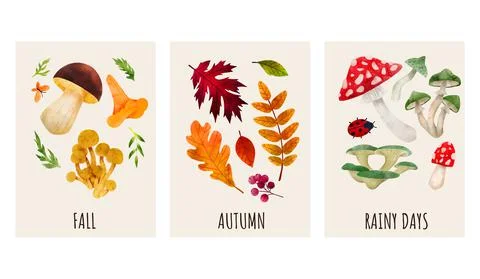 Forest Mushrooms, hand drawn vector watercolor illustration Stock Illustration
