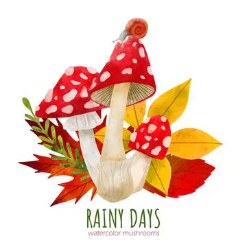 Forest Mushrooms, hand drawn vector watercolor illustration Stock Illustration