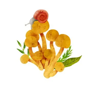 Forest Mushrooms, hand drawn vector watercolor illustration Stock Illustration
