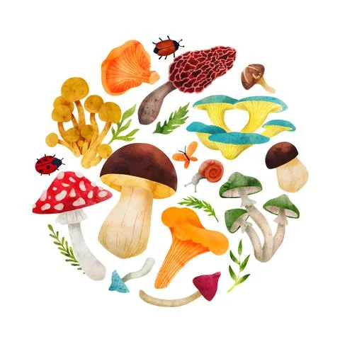 Forest Mushrooms, hand drawn vector watercolor illustration Stock Illustration