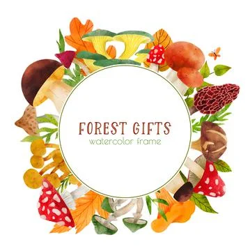 Forest Mushrooms, hand drawn vector watercolor illustration Stock Illustration
