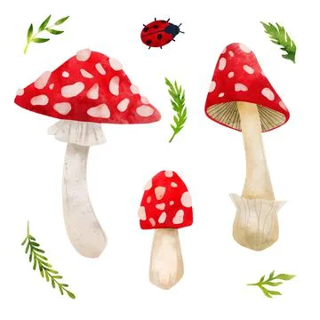 Forest Mushrooms, hand drawn vector watercolor illustration Stock Illustration