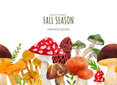 Forest Mushrooms, hand drawn vector watercolor illustration Stock Illustration