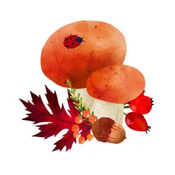 Forest Mushrooms, hand drawn vector watercolor illustration Stock Illustration