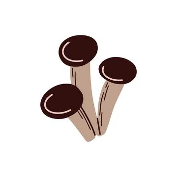Forest mushrooms. Vector illustration イラスト素材