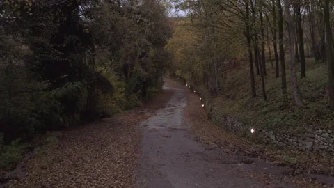 Forest narrow road in autumn push out shot with drone Stock Footage 146986429