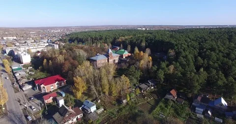 Forest nature Stock Footage 83079411