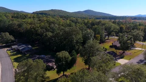 Forest Neighborhood Flyover Stock Footage 288840713