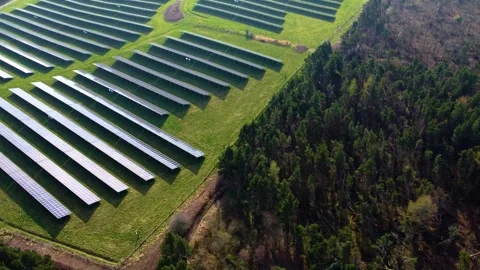 Forest Next to Modern Solar Panel Array Generating Electricity Video stock 332627050