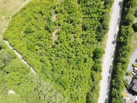 A Forest next to road Stock Photos