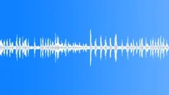 Forest night ambienceSound Effect