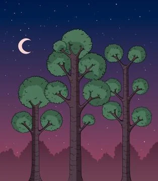 Forest at Night Stock Illustration