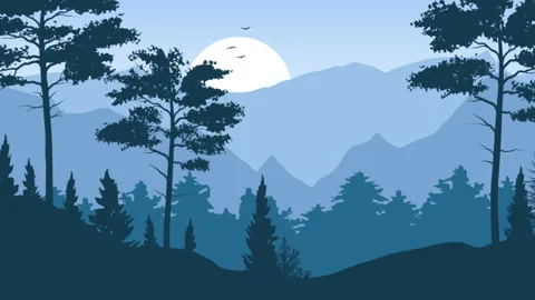 Forest Night Landscape Stock Footage 283902589