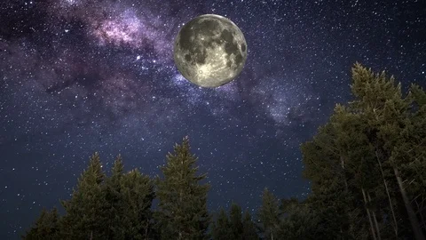 Forest at night with moon orbiting through the fantastic starry sky Stock Footage 114057952