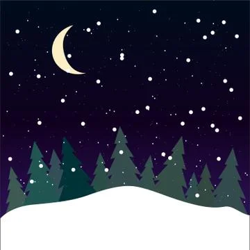 Forest at night with pine trees vector Stock Illustration