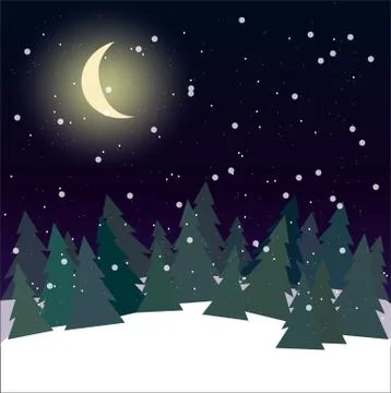 Forest at night with pine trees vector Stock Illustration