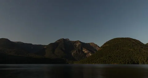 Forest night starry time lapse Stock Footage 165242779