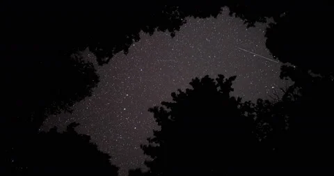 Forest Night Time Lapse Starry Sky 動画素材 89934486