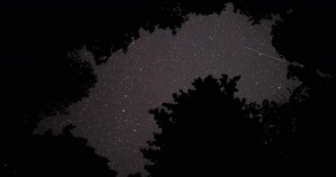 Forest Night Time Lapse Starry Sky Stock-Footage 89935084