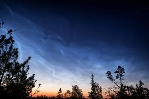 Forest at night under shining clouds and deep starry sky Foto stock