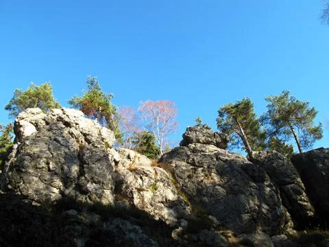 Forest nooks Foto stock
