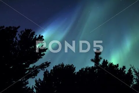 Forest Northern Lights 1 v2 Stock Photos