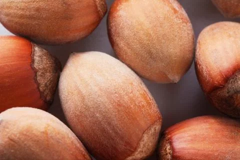 Forest nuts hazelnuts. Hazelnut background, healty food. Foto stock