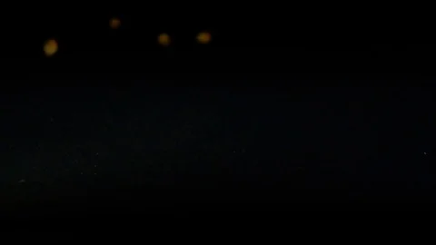 Forest nuts, hazelnuts roll down a black hard surface downwards Stock Footage 81533682