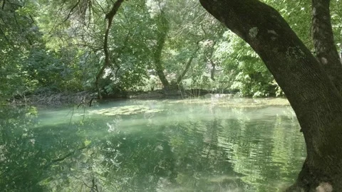 Forest oasis surrounds a tranquil pond, nestled within a Krka National Park. Stock Footage 259075379