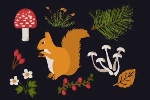 Forest objects set Stock Illustration