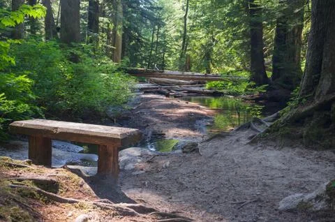 Forest observation point Stock Photos