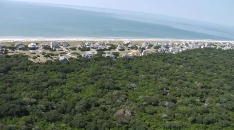 Forest Ocean Aerial Video stock 933662