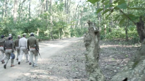 Forest officials patrol Stock Footage 207023765