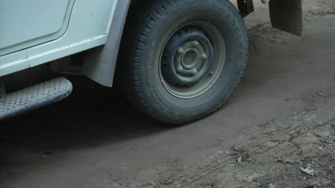 Forest officials patrol Stock Footage 208634992