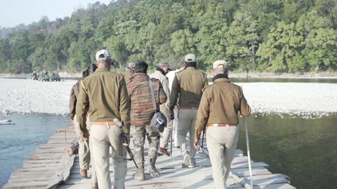 Forest officials patrol Video stock 208635209