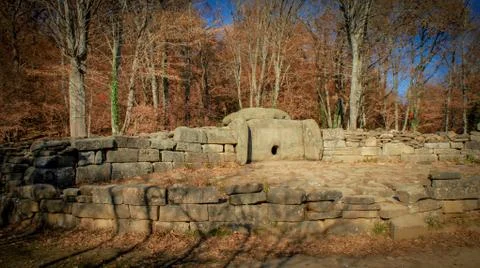 Forest with old trees look good in dolmen Stock Photos
