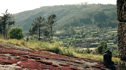 Forest - Old Village in the background Stock Footage 41337706